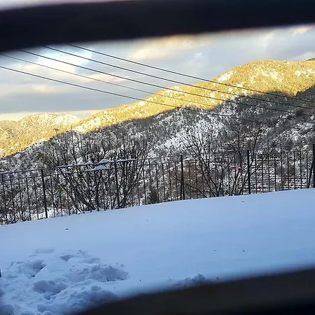 فيلة Casalambra *