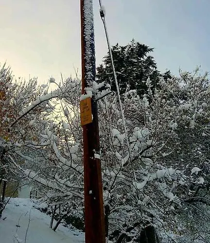 فيلة Casalambra *