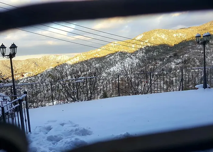 فيلة Casalambra *